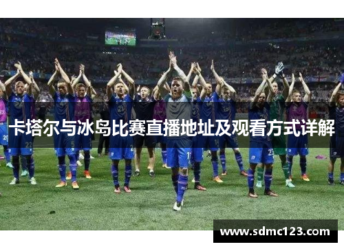 卡塔尔与冰岛比赛直播地址及观看方式详解