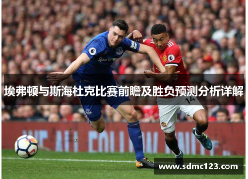 埃弗顿与斯海杜克比赛前瞻及胜负预测分析详解