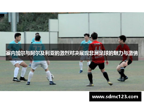 塞内加尔与阿尔及利亚的激烈对决展现非洲足球的魅力与激情