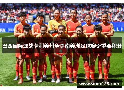 巴西国际迎战卡利美州争夺南美洲足球赛季重要积分