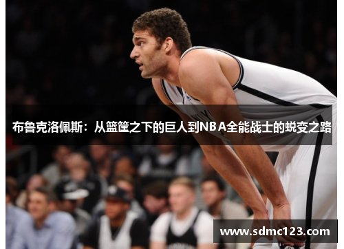 布鲁克洛佩斯：从篮筐之下的巨人到NBA全能战士的蜕变之路