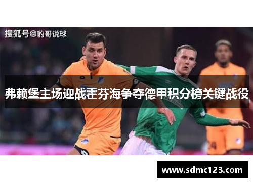 弗赖堡主场迎战霍芬海争夺德甲积分榜关键战役