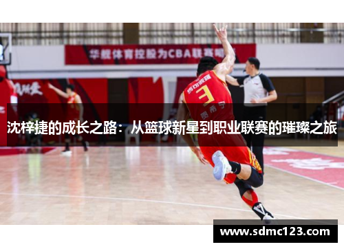 沈梓捷的成长之路：从篮球新星到职业联赛的璀璨之旅